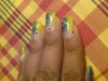 DSC00480.JPG