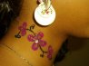 tatto audrey.jpg