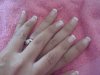 DSC02767.jpg