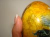 DSC02792.jpg