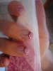 DSC00463.jpg