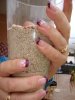 DSC00659.jpg