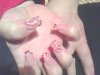 IMG0061A.jpg