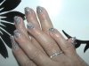DSC00535.jpg