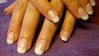 DSC01139.jpg
