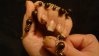 DSC01294.jpg