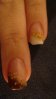 DSC01300.jpg