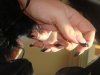 DSC00608.jpg