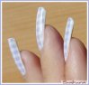FOILS-PICNIC-4.jpg