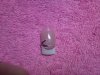 violet.jpg