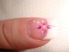DSC02572.jpg