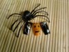 halloween 001.jpg