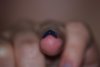 DSC_0311.jpg