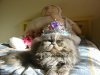 DSC09039.jpg