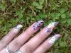IMG00322-20091113-1617.jpg