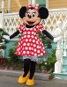 minnie2.jpg