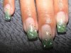 DSC00532.jpg