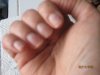 ongles abimés du 20 nov 2009 014.jpg