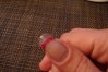 DSC01642.jpg