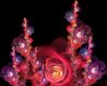 flowering-22-720px.jpg
