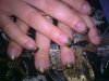 15052009_002.jpg