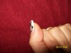 100_2627.jpg
