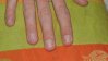 DSC01201.jpg