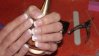 DSC01204.jpg