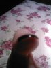 SP_A0464.jpg