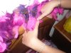 SDC11498.jpg