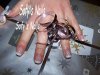 100_3866.jpg