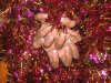15 12 09 Gel IBD 012.jpg