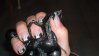 DSC01222.jpg