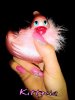 DSC00952.jpg