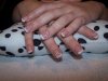 100_1312.jpg
