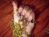 100_1693.jpg