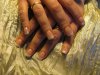 IMG_0474.jpg