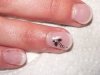 Ongles 063.jpg
