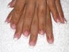 12 01 10 jasmine 001.jpg