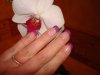 DSC02115.jpg