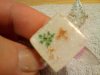 DSC00569.jpg