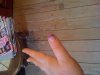 ongle 1.jpg