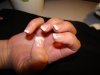 DSC03416.jpg