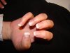DSC03417.jpg