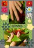 pose rose et marron avec cadre n°2.jpg