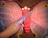 DSC07101.jpg