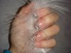 DSC03002.JPG