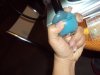DSC01527.JPG