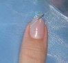 ongles 006.jpg