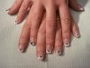 DSC03493.jpg